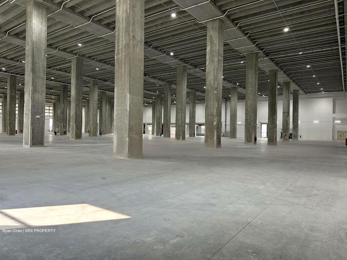 Pantech Business Hub (D5), Warehouse #461293861